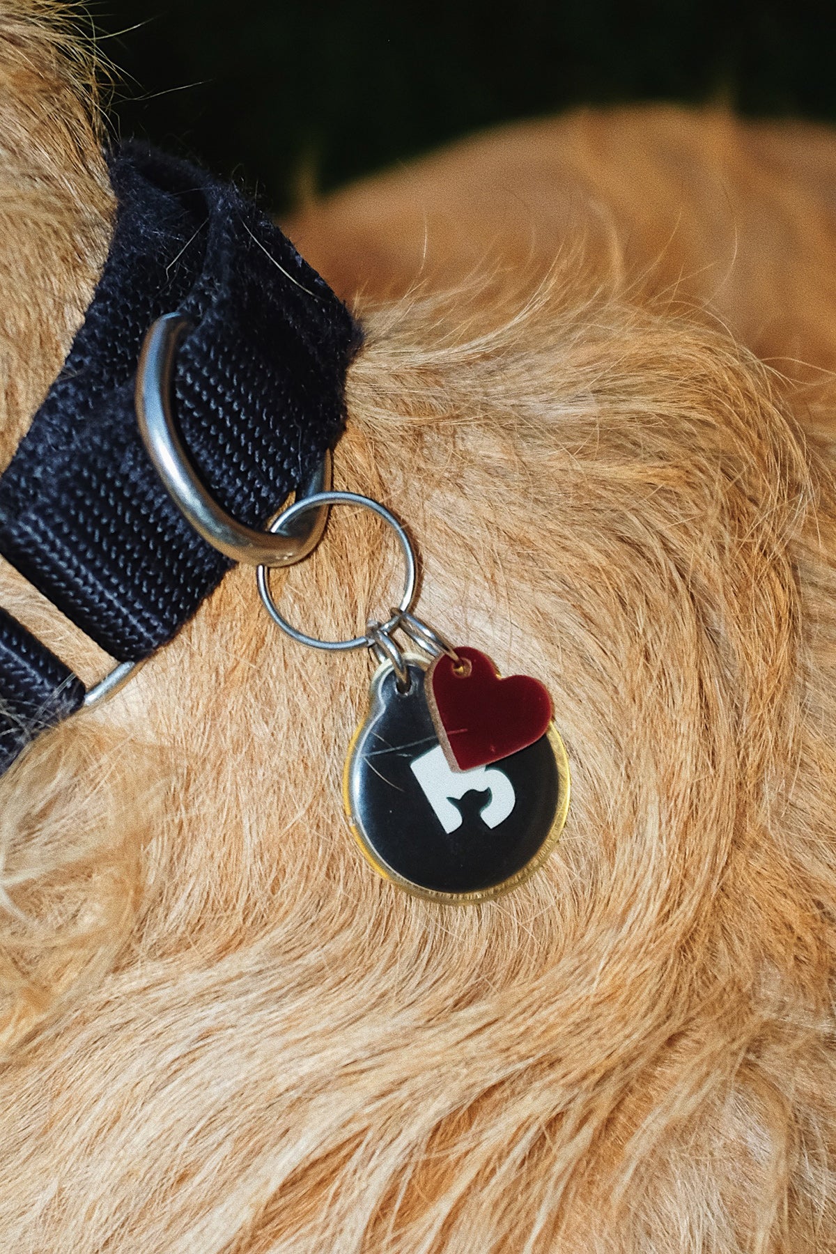 KkCo x Goods Gang x Snack Size 'Bleeding Heart' Pet Charm