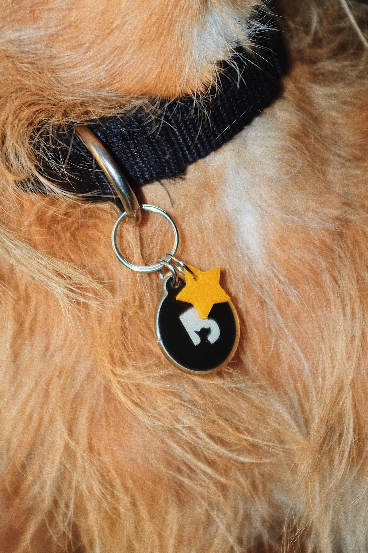 KkCo x Goods Gang x Snack Size 'Macaroni Star' Pet Charm