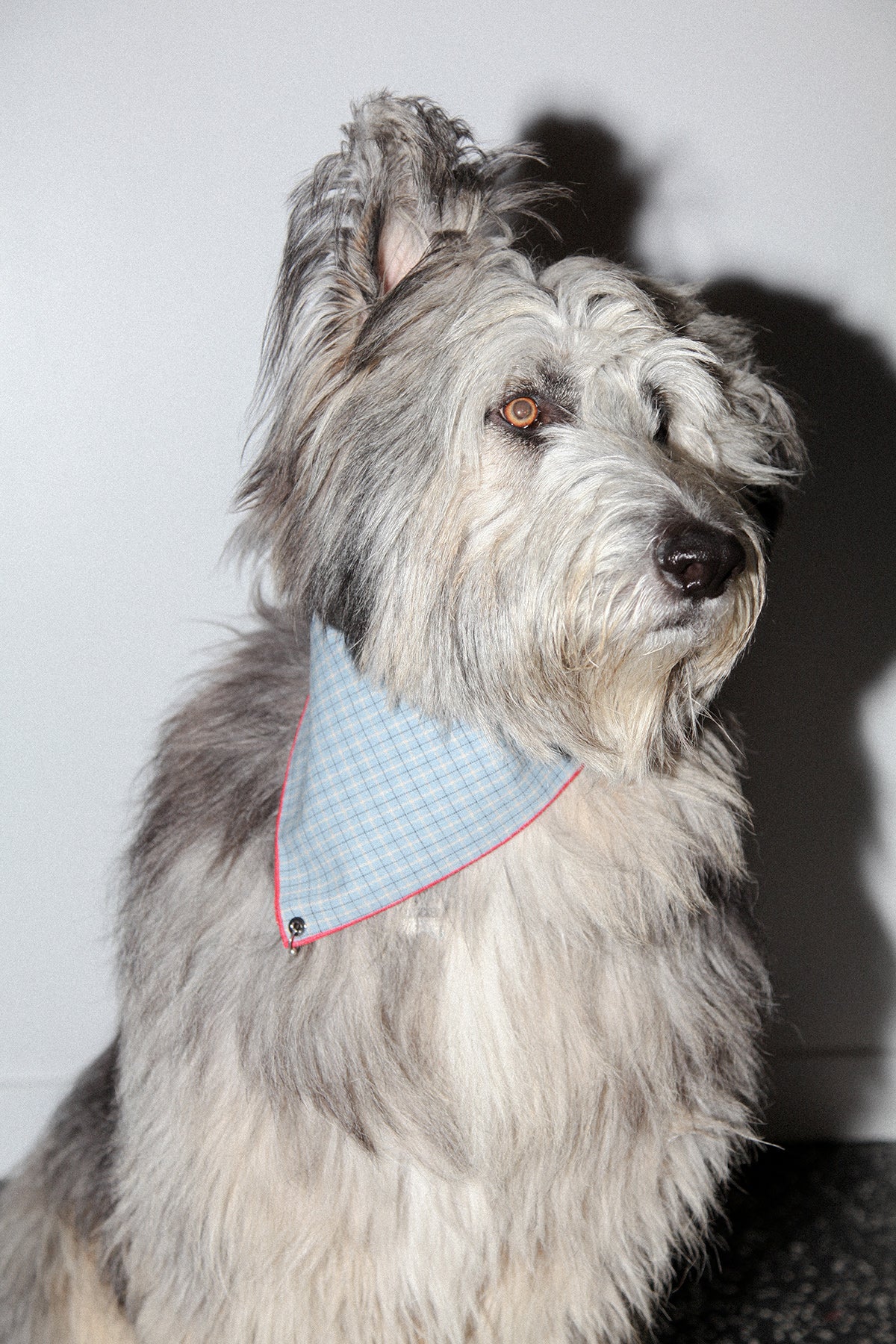 Pierced Bandana in Blue Flannel