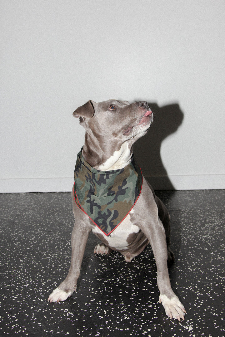 Pierced Bandana in Camo Nylon