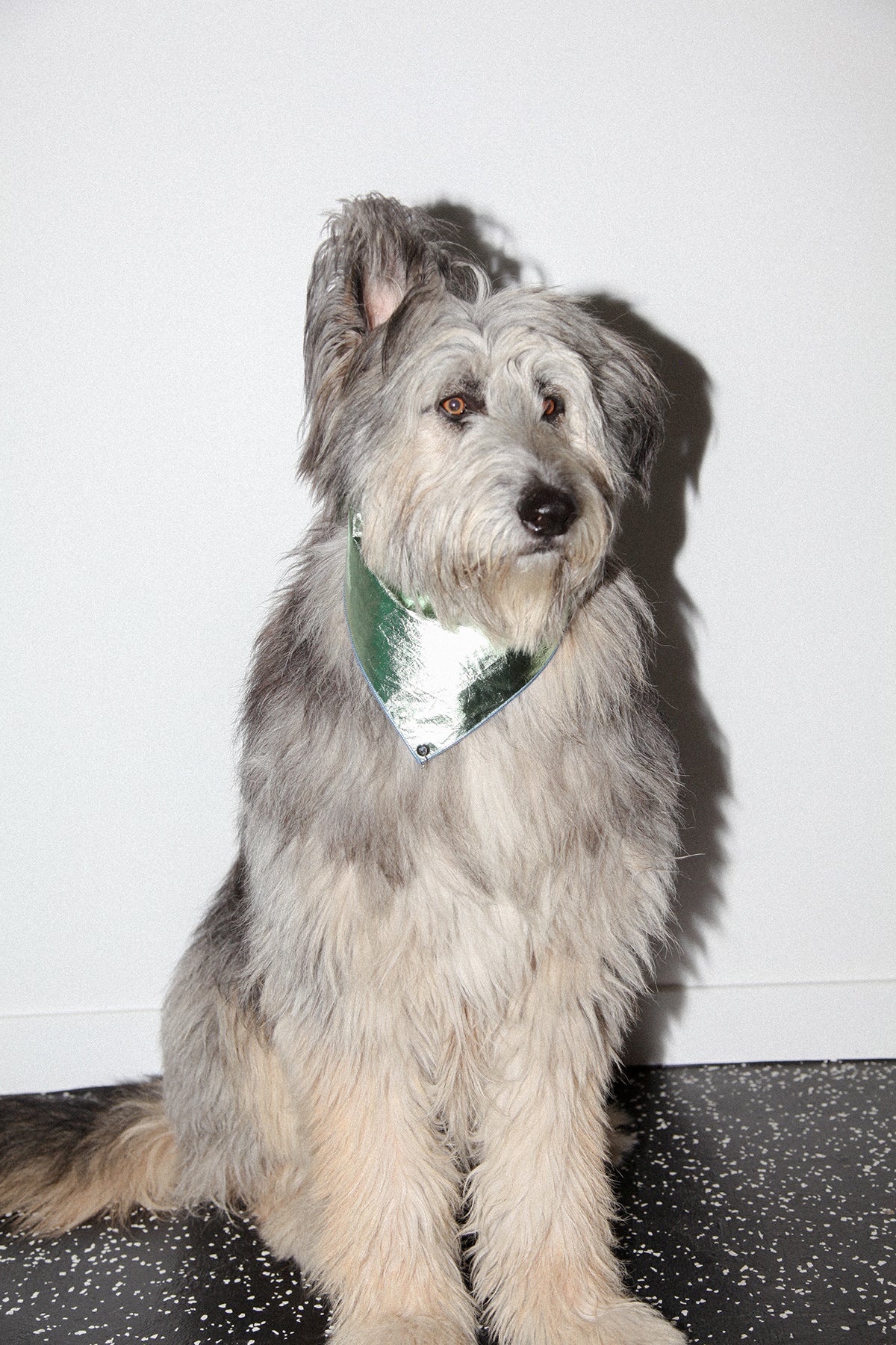 Pierced Bandana in Green Foil