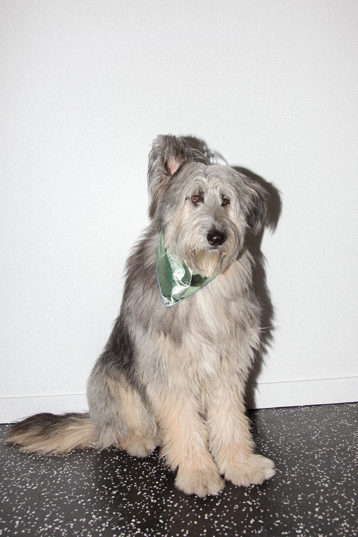 Pierced Bandana in Green Foil