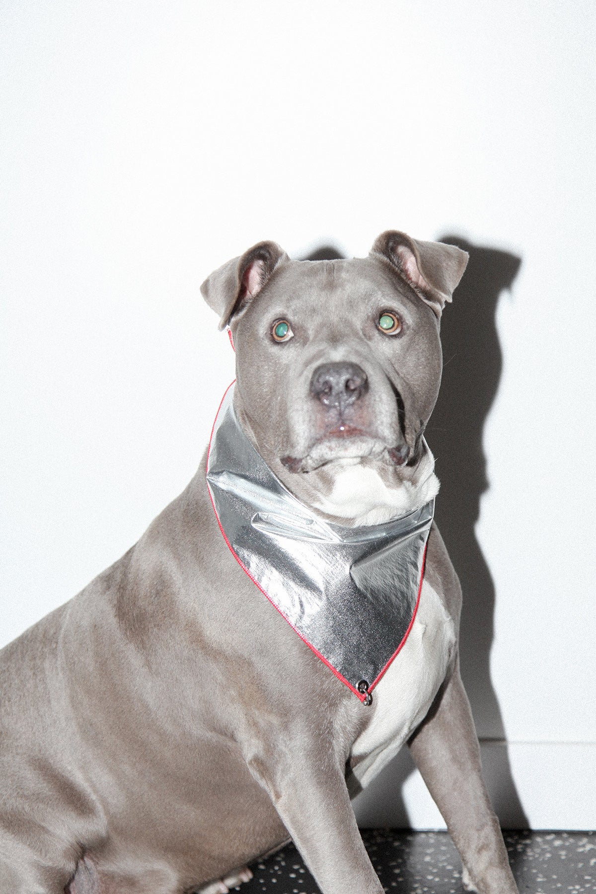 Pierced Bandana in Foil