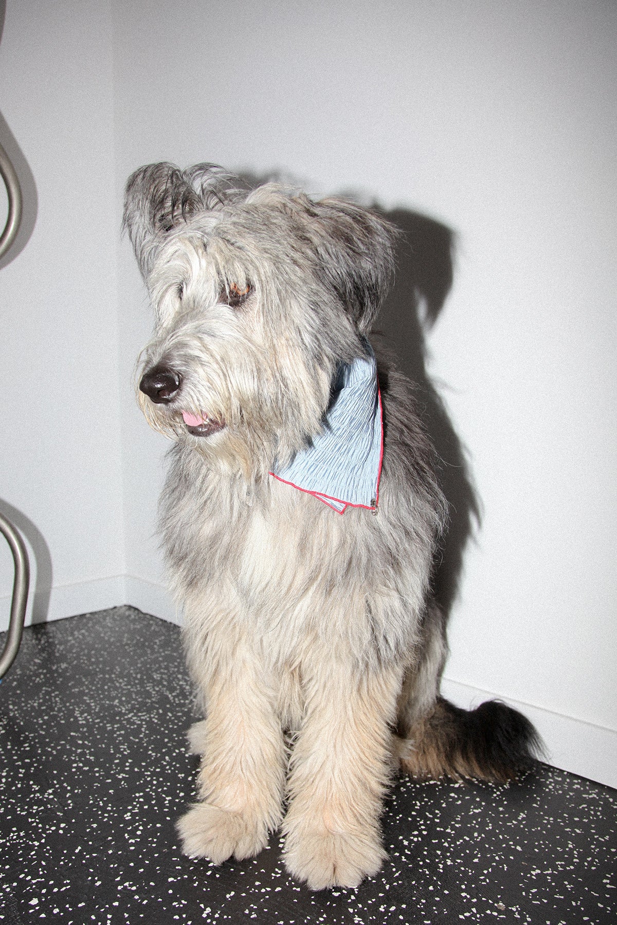 Pierced Bandana in Puckered Blue