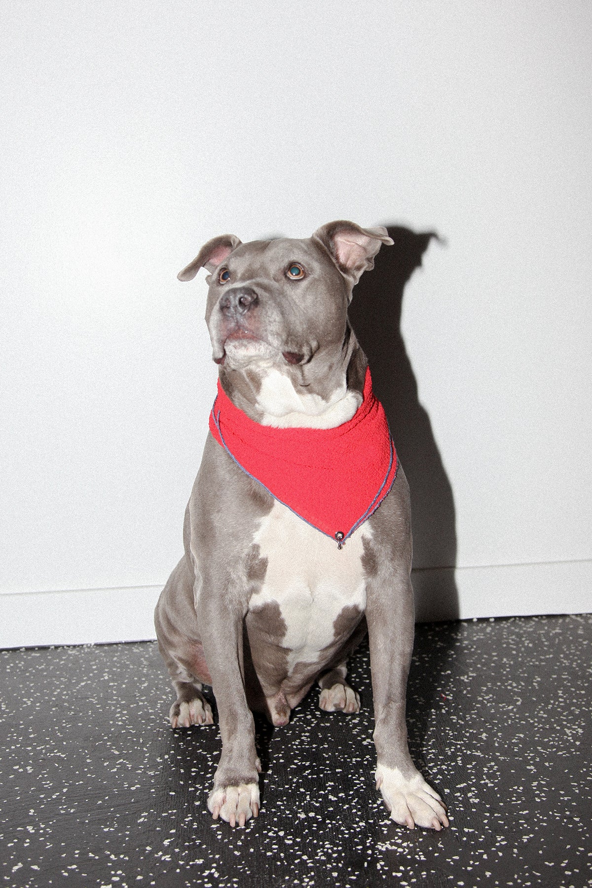 Pierced Bandana in Tomato Gauze