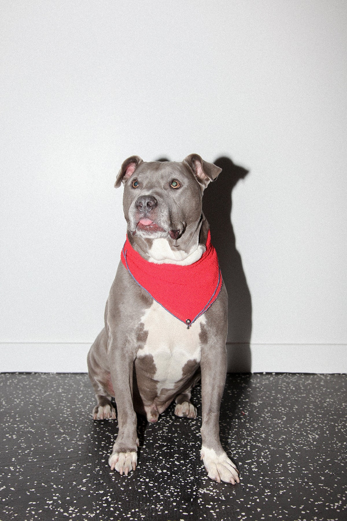 Pierced Bandana in Tomato Gauze